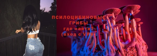 спайс Магас