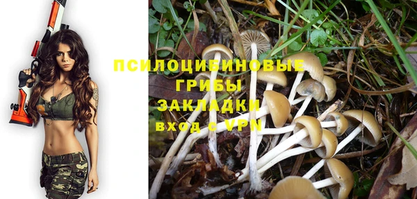 спайс Магас