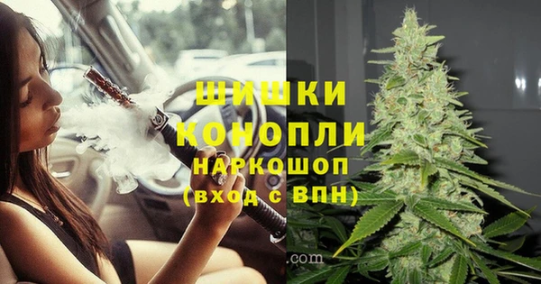 тгк Майский
