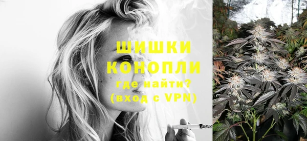 тгк Майский