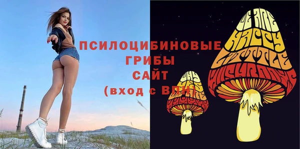тгк Майский