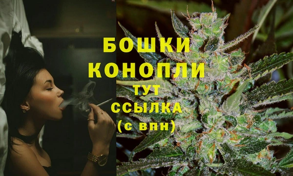 спайс Магас