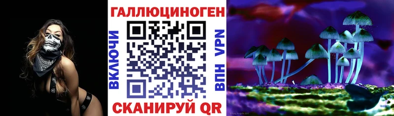 Галлюциногенные грибы Psilocybe  Купить закладки  Кемь 